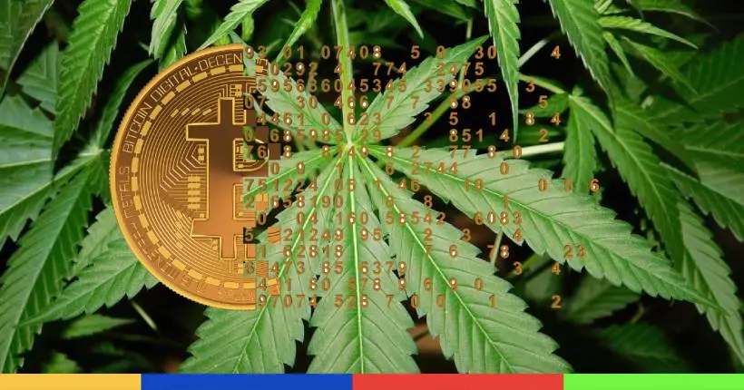 La folle histoire du dealer de drogue qui a perdu 53 millions d’euros en bitcoins