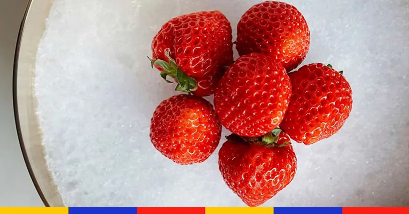 La fraise hors de prix qui rend fou les chefs américains