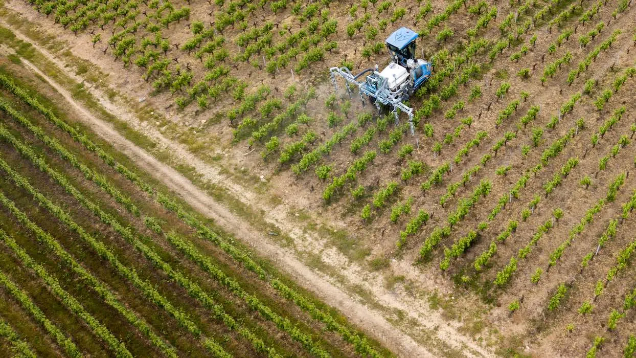 Pesticides : Bayer condamné à verser 265 millions de dollars à un cultivateur