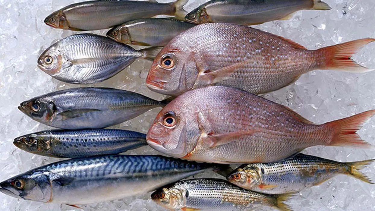 Un petit capteur connecté permettra bientôt de savoir d’où vient vraiment votre poisson