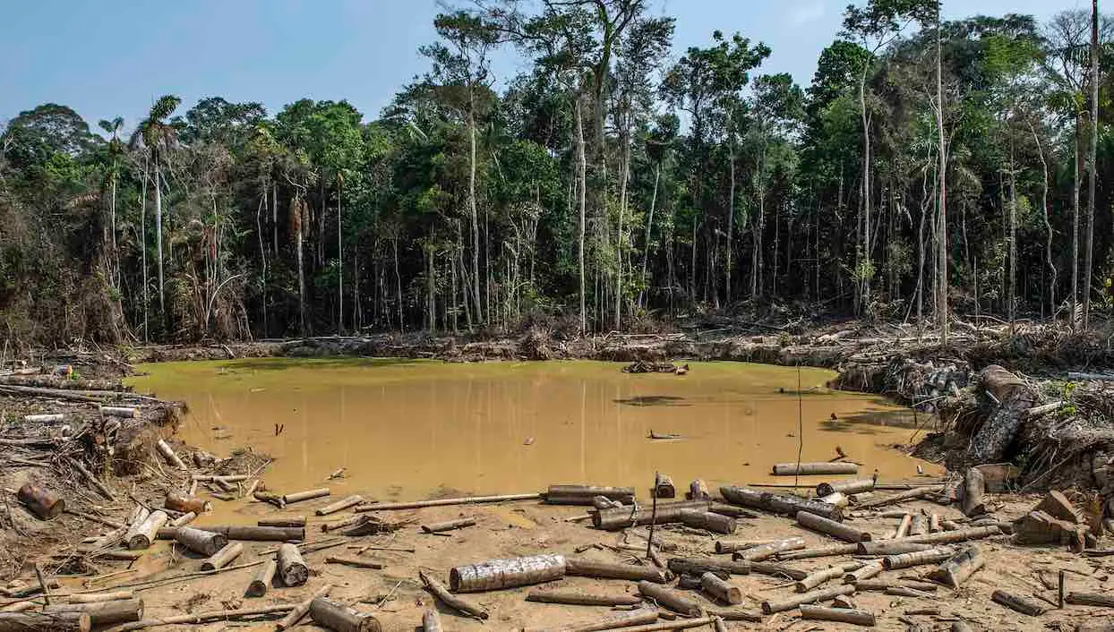 Et pendant ce temps, l’Amazonie pourrait avoir disparu dans 50 ans