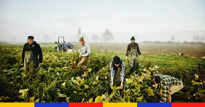 Le gouvernement appelle ceux “qui n’ont plus d’activité” à aider les agriculteurs