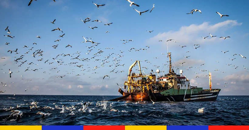 Les pêcheurs français assistent, impuissants, au pillage des chalutiers étrangers