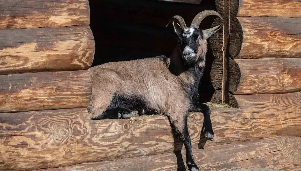 Et pendant ce temps : le printemps n’est jamais arrivé aussi tôt depuis 100 ans