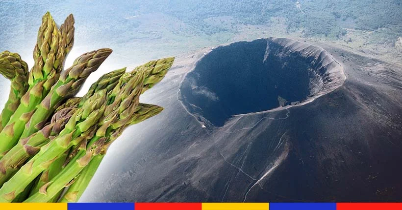 À Naples, un homme tombe dans le volcan du Vésuve en cueillant des asperges