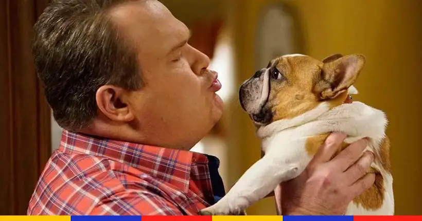 Tristesse : Stella, le bouledogue français de Modern Family, est décédé