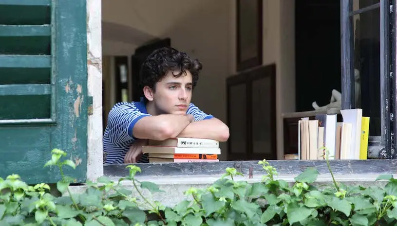 Luca Guadagnino, le réalisateur de Call Me By Your Name, est toujours partant pour une suite