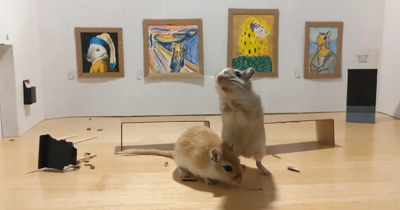 Un mini musée pour gerbilles voit le jour grâce à un couple qui s’ennuie fort