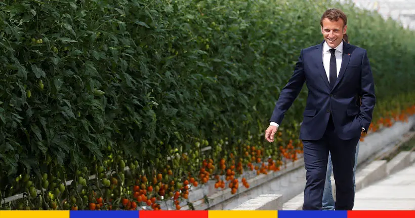 Pourquoi la visite de Macron dans une exploitation de tomates ne passe pas