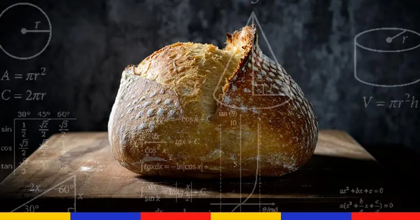 Pour la science, des chercheurs veulent tout savoir sur votre levain maison