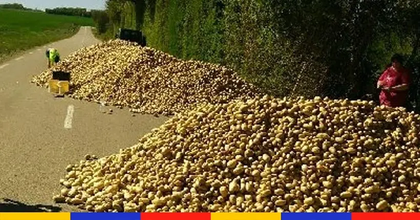 Un habitant de l’Yonne se fait livrer 30 tonnes de patates, ça tourne mal