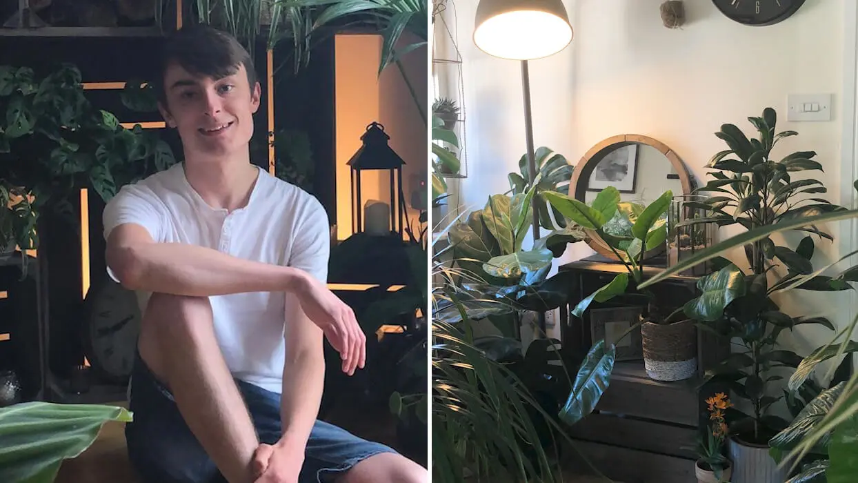 Vidéo : “Je vis avec 1 400 plantes dans mon appartement”