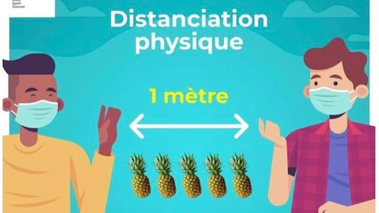 “1 mètre = 5 ananas” : la préfecture de la Martinique retire son affiche jugée raciste