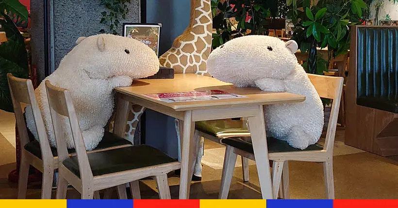 Au Japon, ce resto invite des capybaras en peluche pour respecter la distanciation sociale