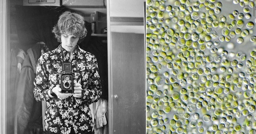 Sur des algues, un photographe chimiste imprime son autoportrait