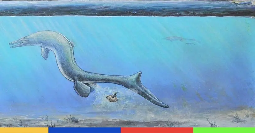 Le premier œuf-fossile géant trouvé en Antarctique soulève beaucoup de questions