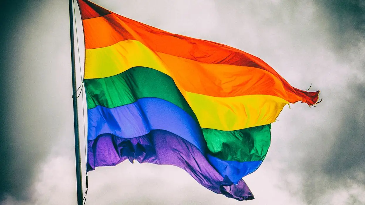 Une application de la gendarmerie accusée de permettre le “fichage des homosexuels”