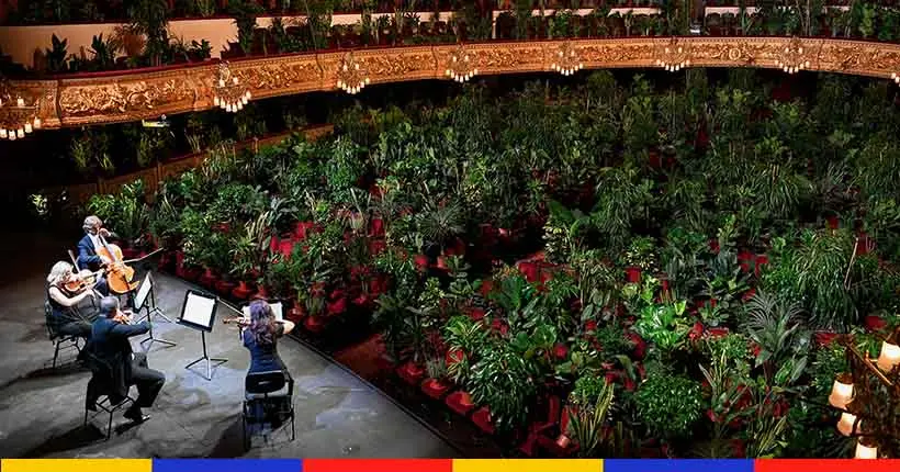 En images : l’opéra de Barcelone a rouvert devant un public… composé de 2 292 plantes