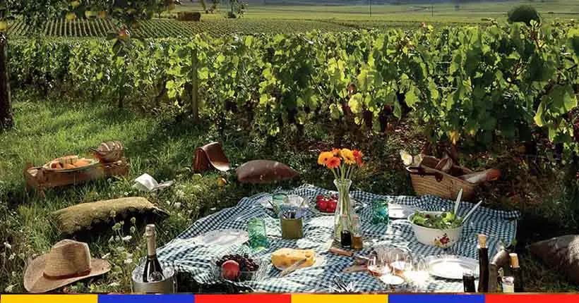 Un pique-nique géant dans 300 domaines viticoles français