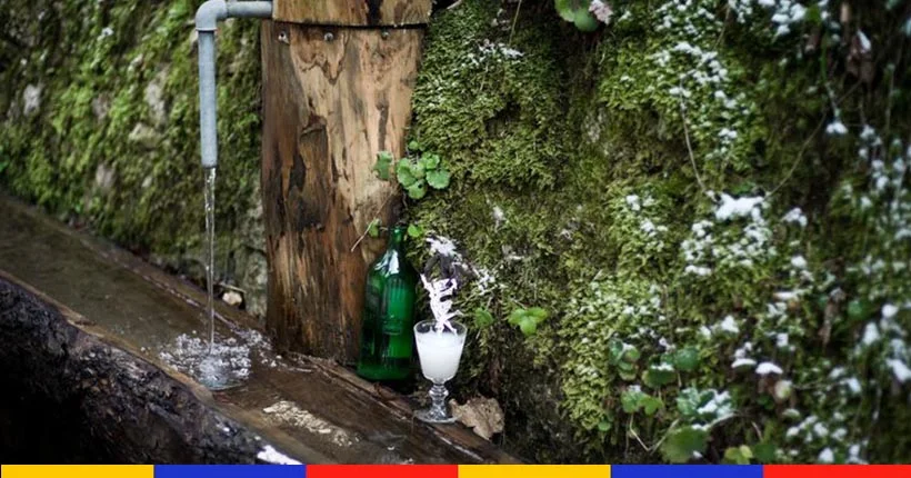 Pourquoi retrouve-t-on des bouteilles d’absinthe cachées dans les forêts suisses ?