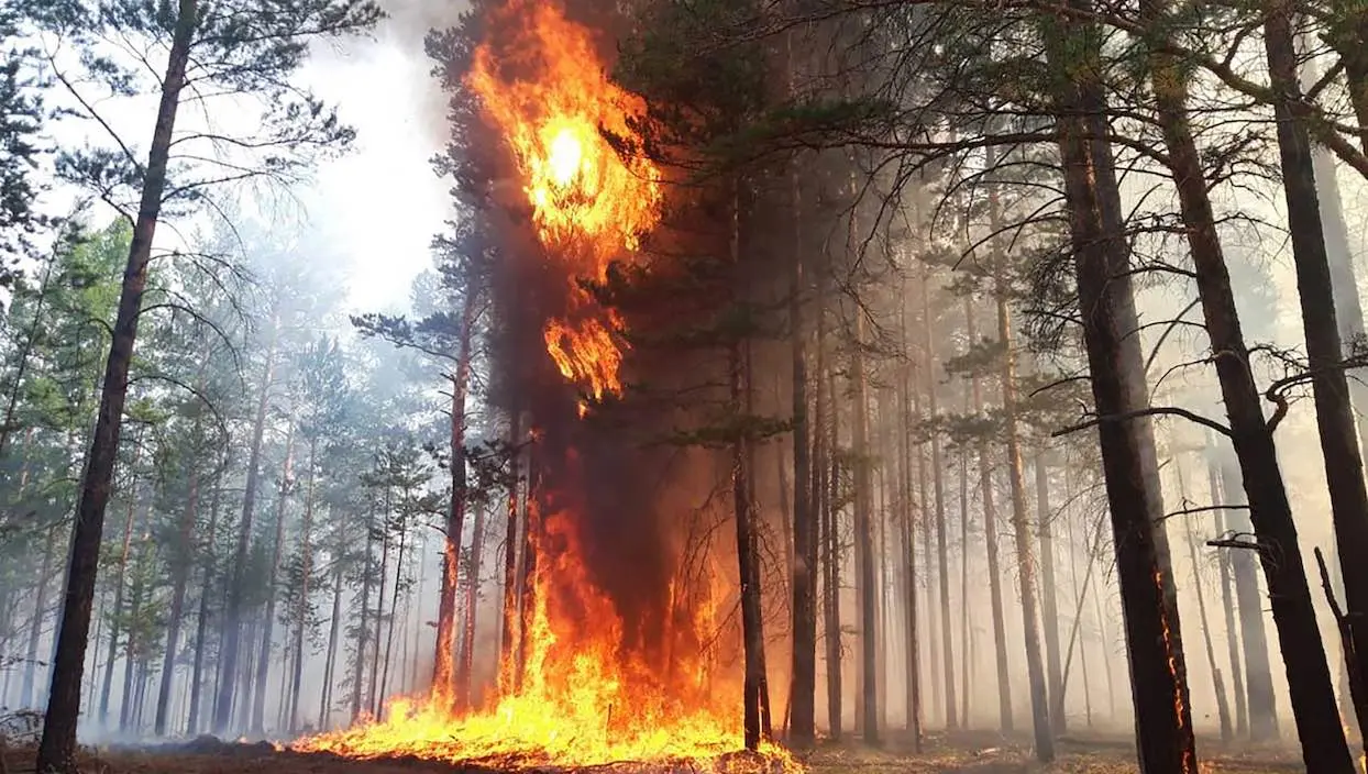 Feux de forêt en Sibérie : des villes russes étouffent sous la fumée
