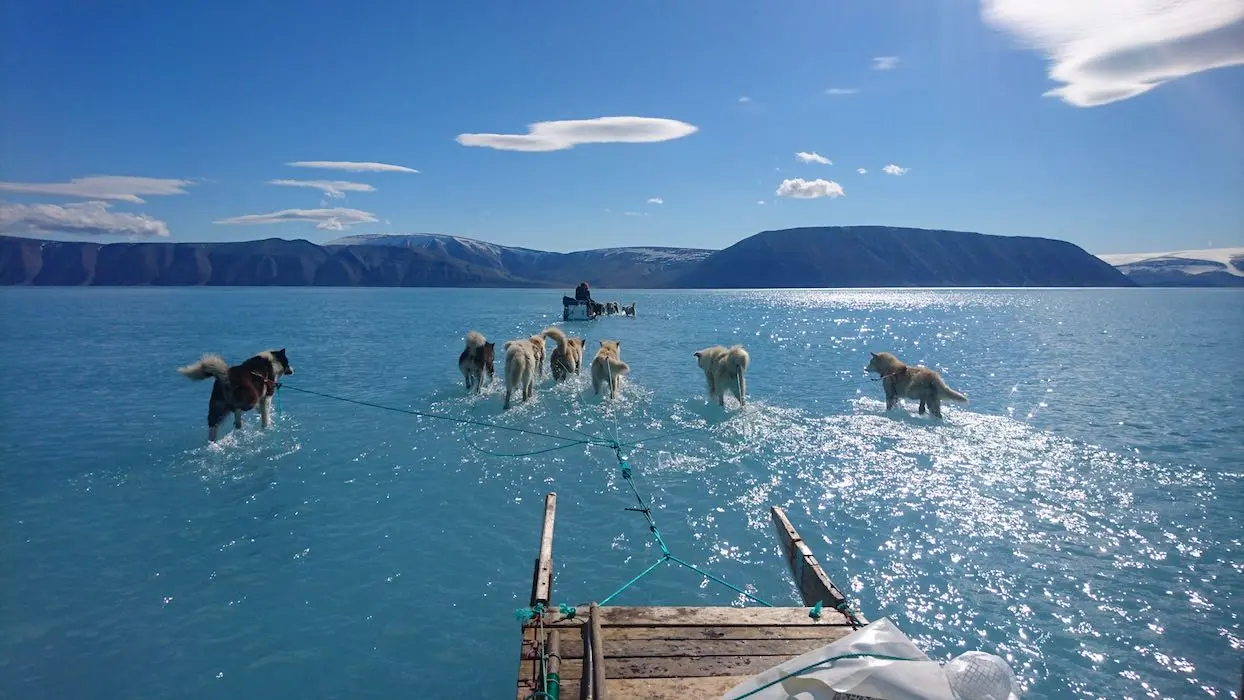 Réchauffement climatique : la banquise fond plus vite que prévu en Arctique