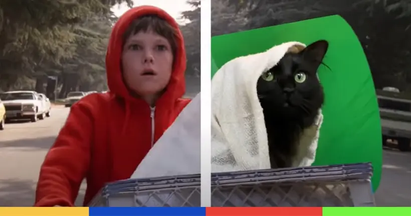 Ce chat est devenu une star sur YouTube en s’incrustant dans vos films préférés