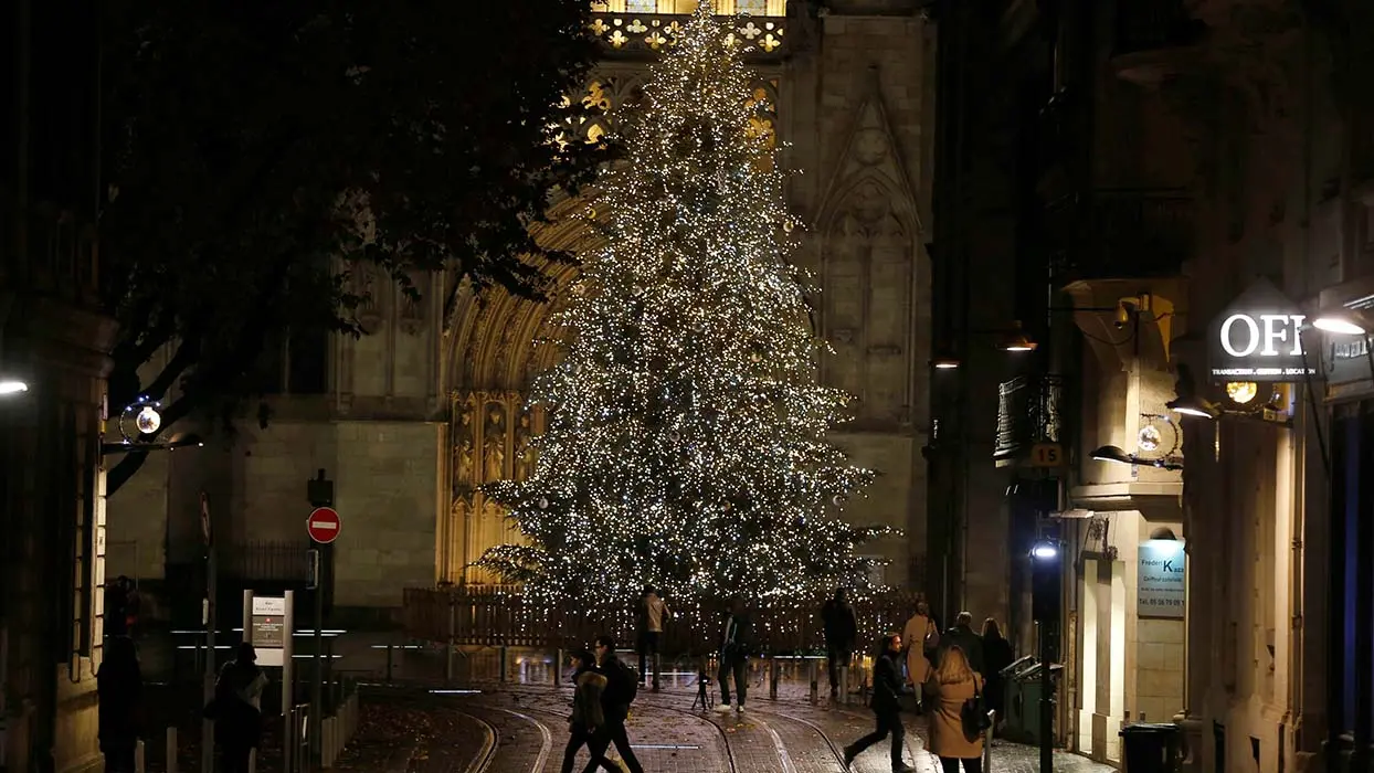 Le maire écolo de Bordeaux veut en finir avec le sapin de Noël et déclenche une polémique