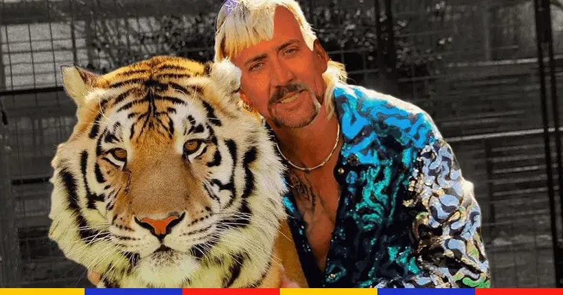 On en sait plus sur la série Tiger King avec Nicolas Cage en Joe Exotic