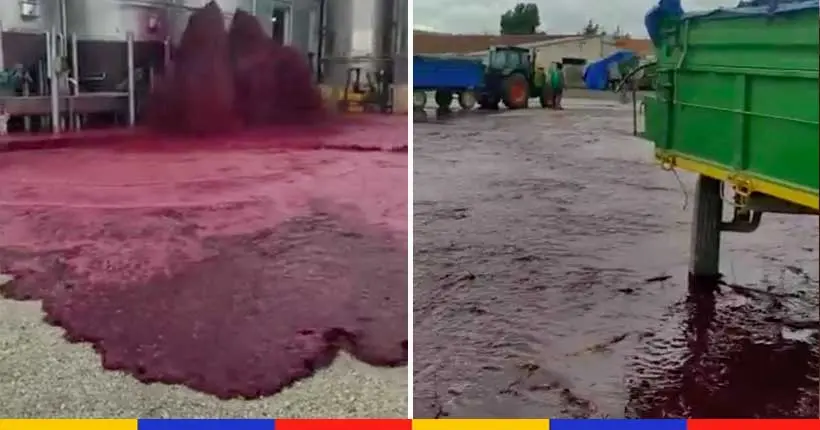En Espagne, un “lac de vin rouge” apparaît après la fuite d’une cuve de 50 000 litres