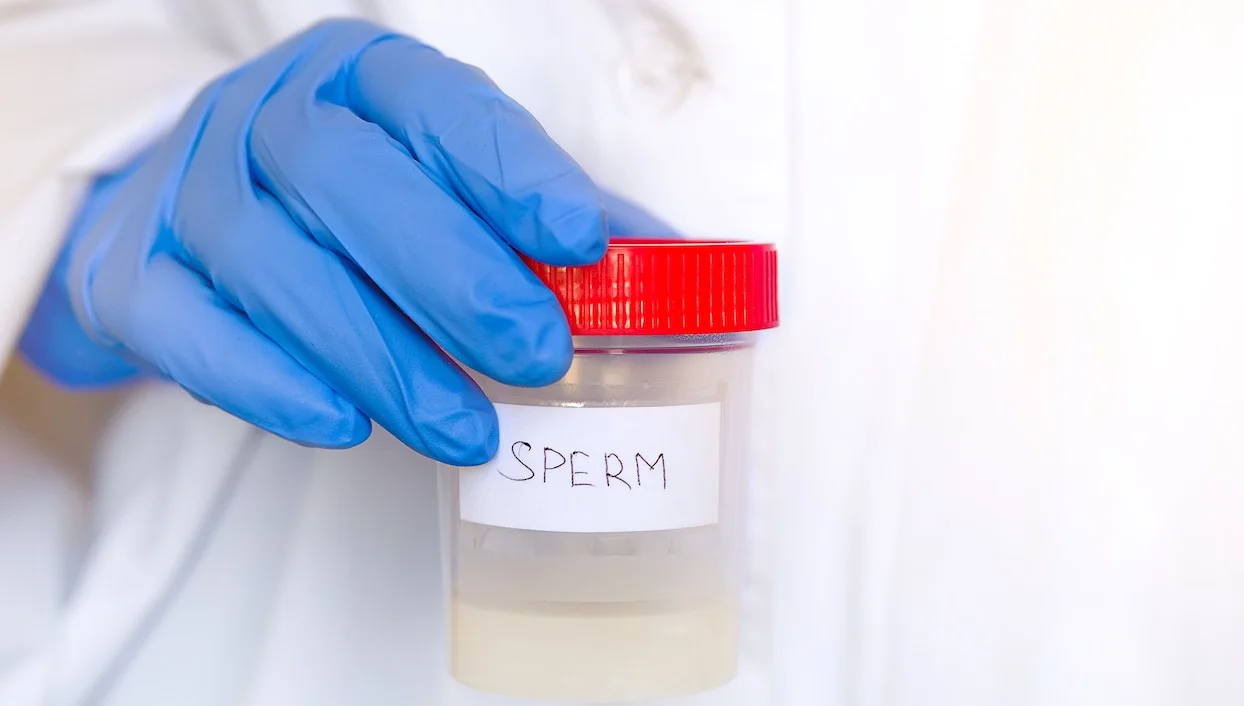 Pays-Bas : un gynécologue utilisait son sperme lors d’inséminations artificielles