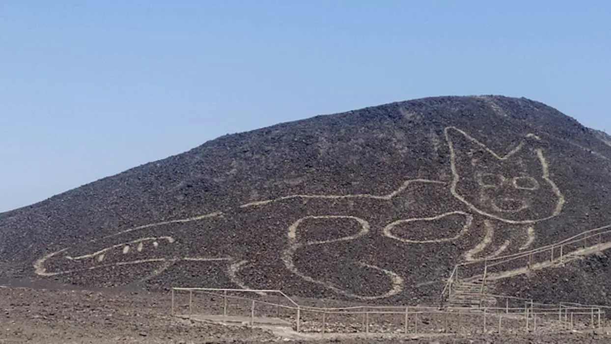 Pérou : l’immense dessin d’un félin vieux de 2 000 ans découvert sur le flan d’une colline