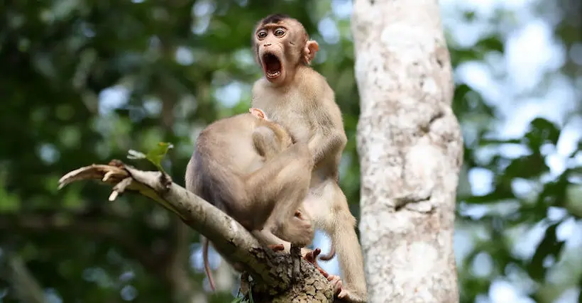 Le concours des photos les plus drôles d’animaux a révélé ses gagnants 2020