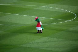 La mascotte d’Arsenal s’est fait virer !!!