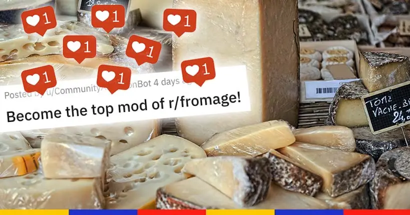 Sur Reddit, on se bat pour devenir le modérateur de la section fromage
