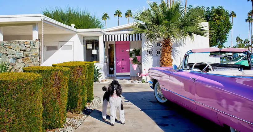 Les chiens les plus chics de Californie réunis dans un livre photo extravagant