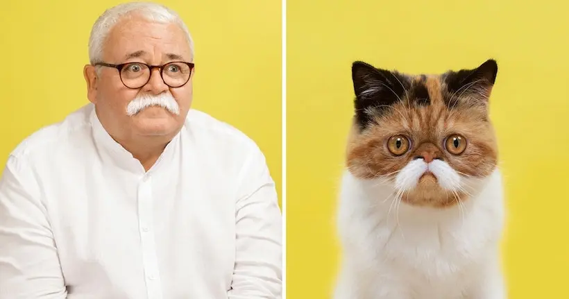 Un jeu photo s’amuse des ressemblances troublantes entre les chats et leur maître
