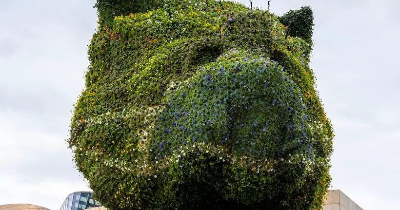 La sculpture de chiot signée Jeff Koons a fleuri et s’est parée d’un beau masque bleu