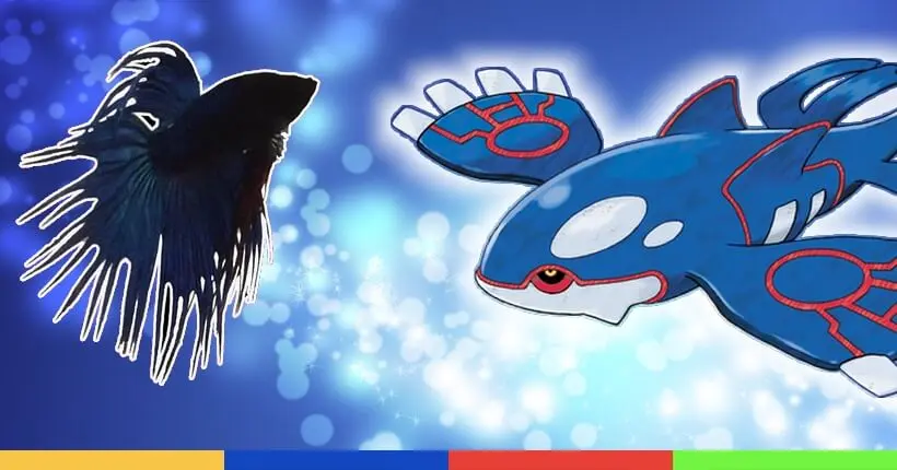 Trois (vrais) poissons ont fini Pokémon Saphir en live
