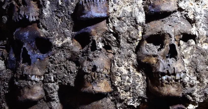 Des centaines de crânes humains âgés de 500 ans ont été découverts à Mexico