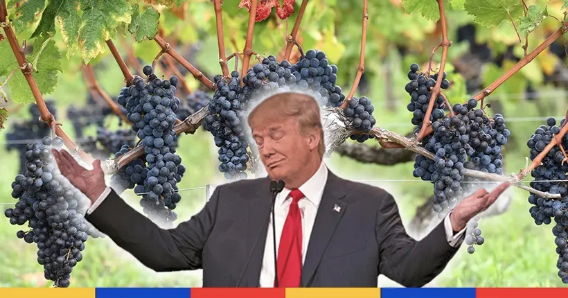 Si les vins sont plus forts, c’est (aussi) à cause de Donald Trump