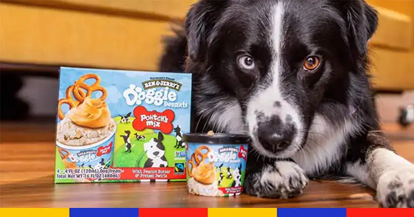 Wouf wouf : Ben & Jerry’s dévoile une gamme de crèmes glacées pour chiens
