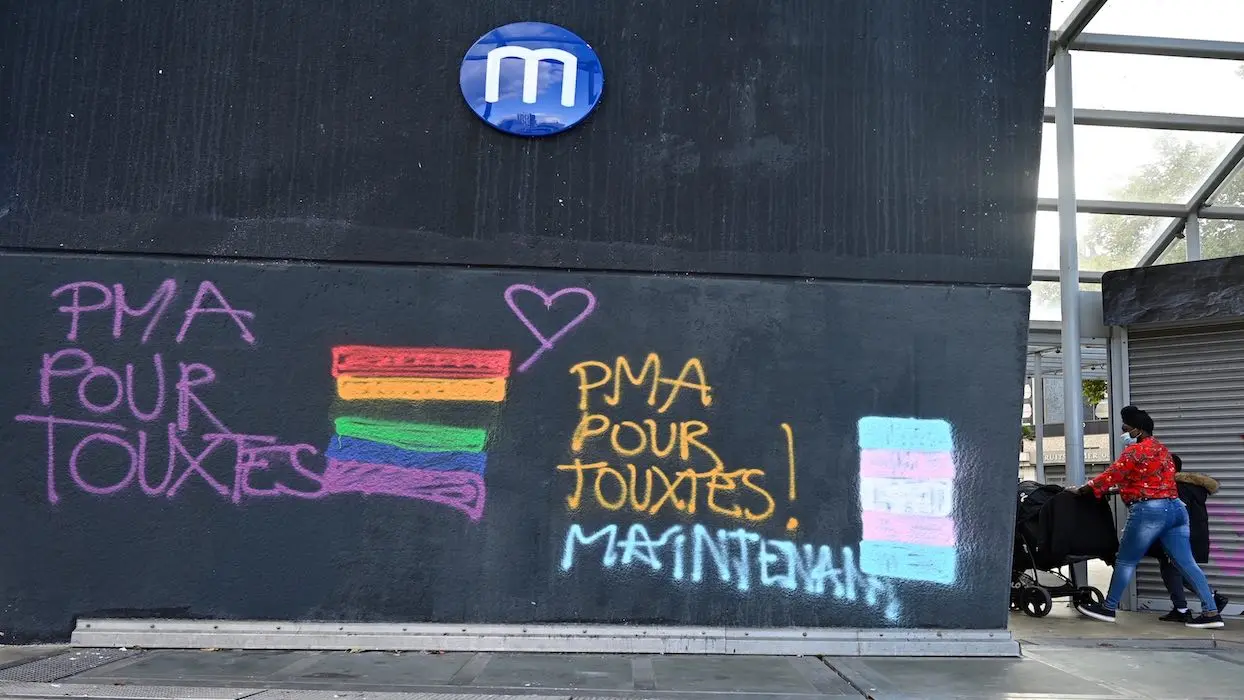 Rejet de la PMA pour toutes : le ras-le-bol des associations LGBT et de femmes seules