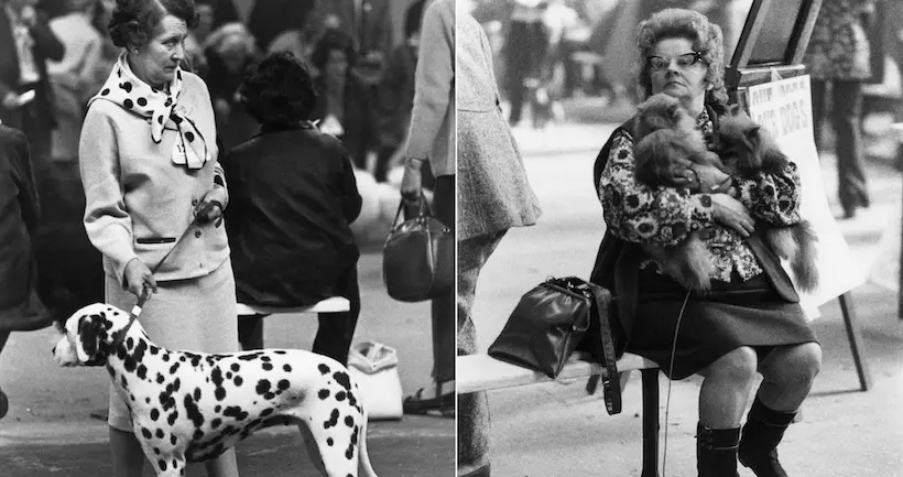 Les coulisses des compétitions canines infiltrées par la photographe Shirley Baker