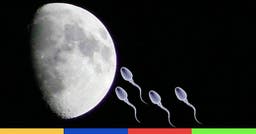 Une réserve de sperme sur la Lune : la fertile idée de scientifiques américains