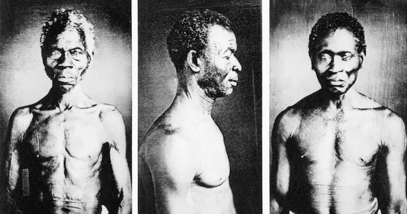 Des portraits d’esclaves au cœur d’un procès entre une descendante et Harvard