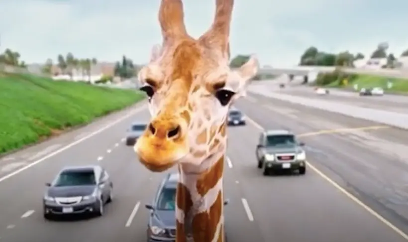 Stanley, la girafe de Very Bad Trip, est au cœur d’une bataille juridique
