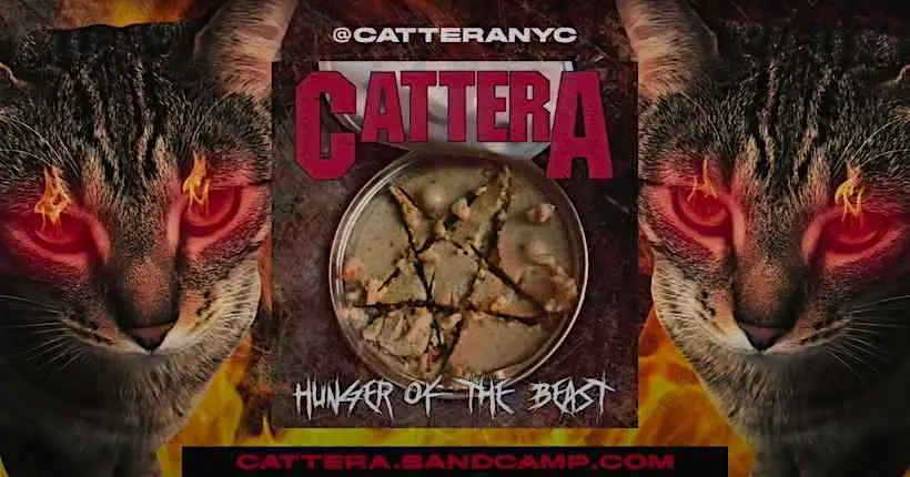 Voici le premier groupe de metal composé de chats, ET ÇA ENVOIE DU PÂTÉ