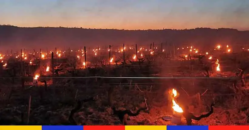 En images : le spectacle fou des vignes illuminées à la bougie pour lutter contre le gel