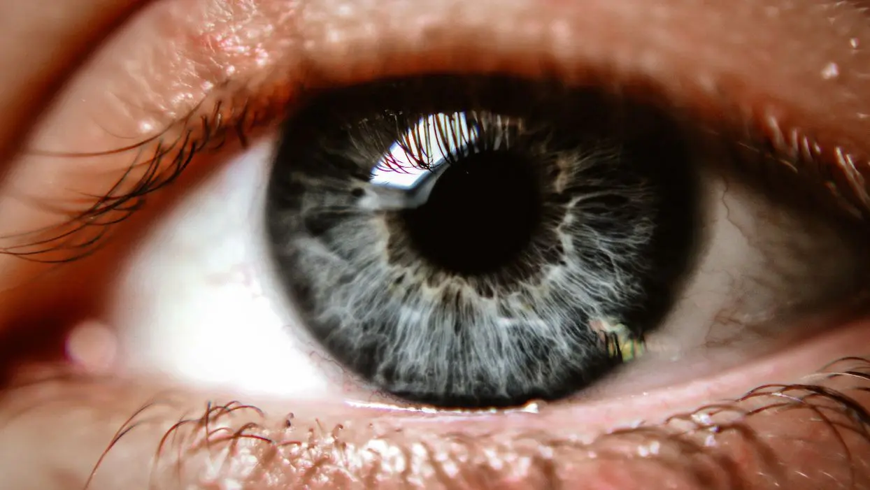 Grâce à une technique innovante, un patient aveugle recouvre partiellement la vue